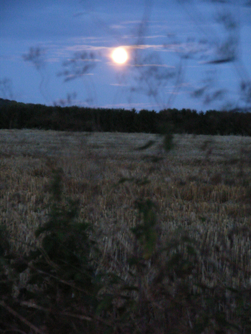 Vollmond mit Wolken über abgeerntetem Feld im August