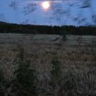 Vollmond mit Wolken über abgeerntetem Feld im August