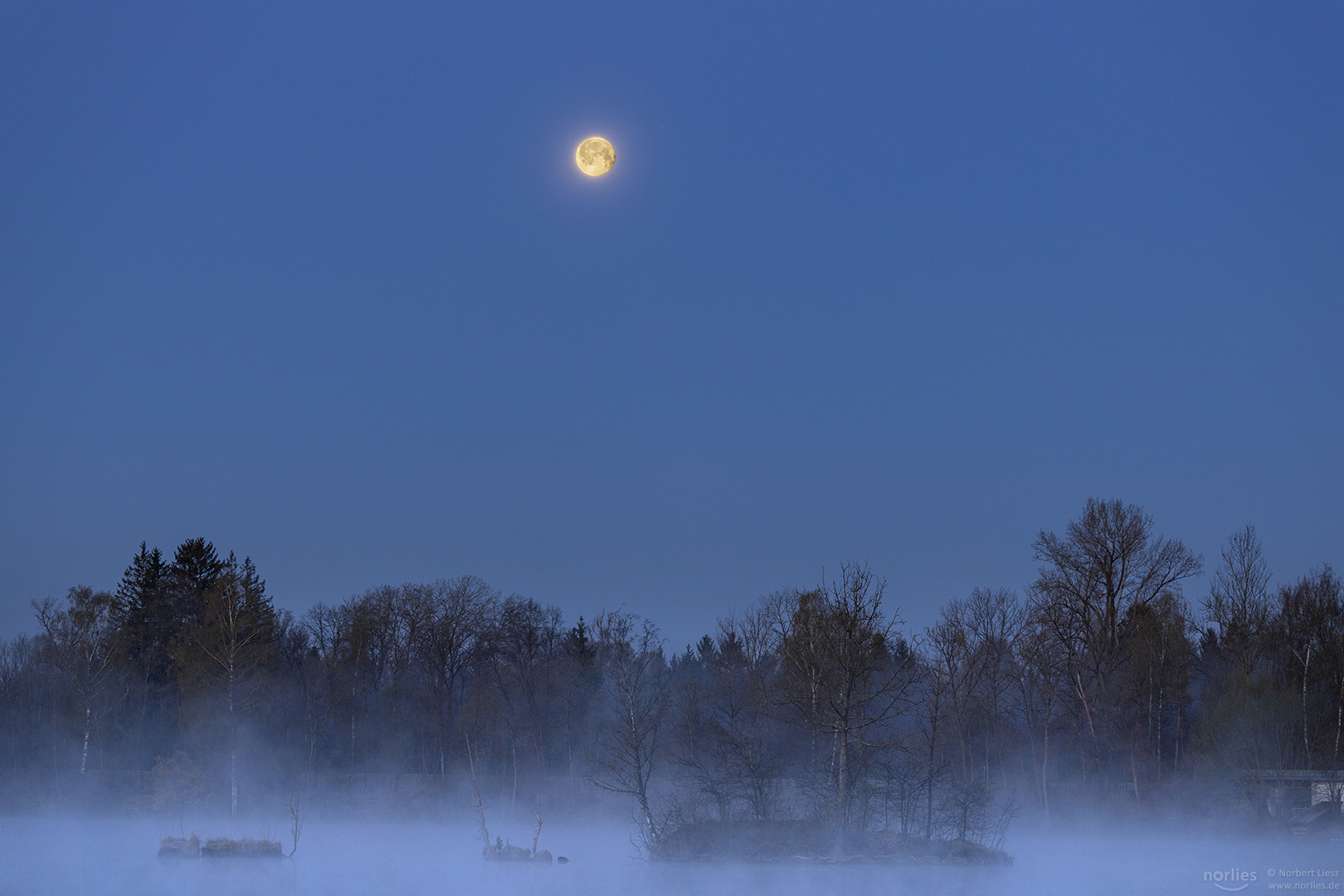 Vollmond Morgen