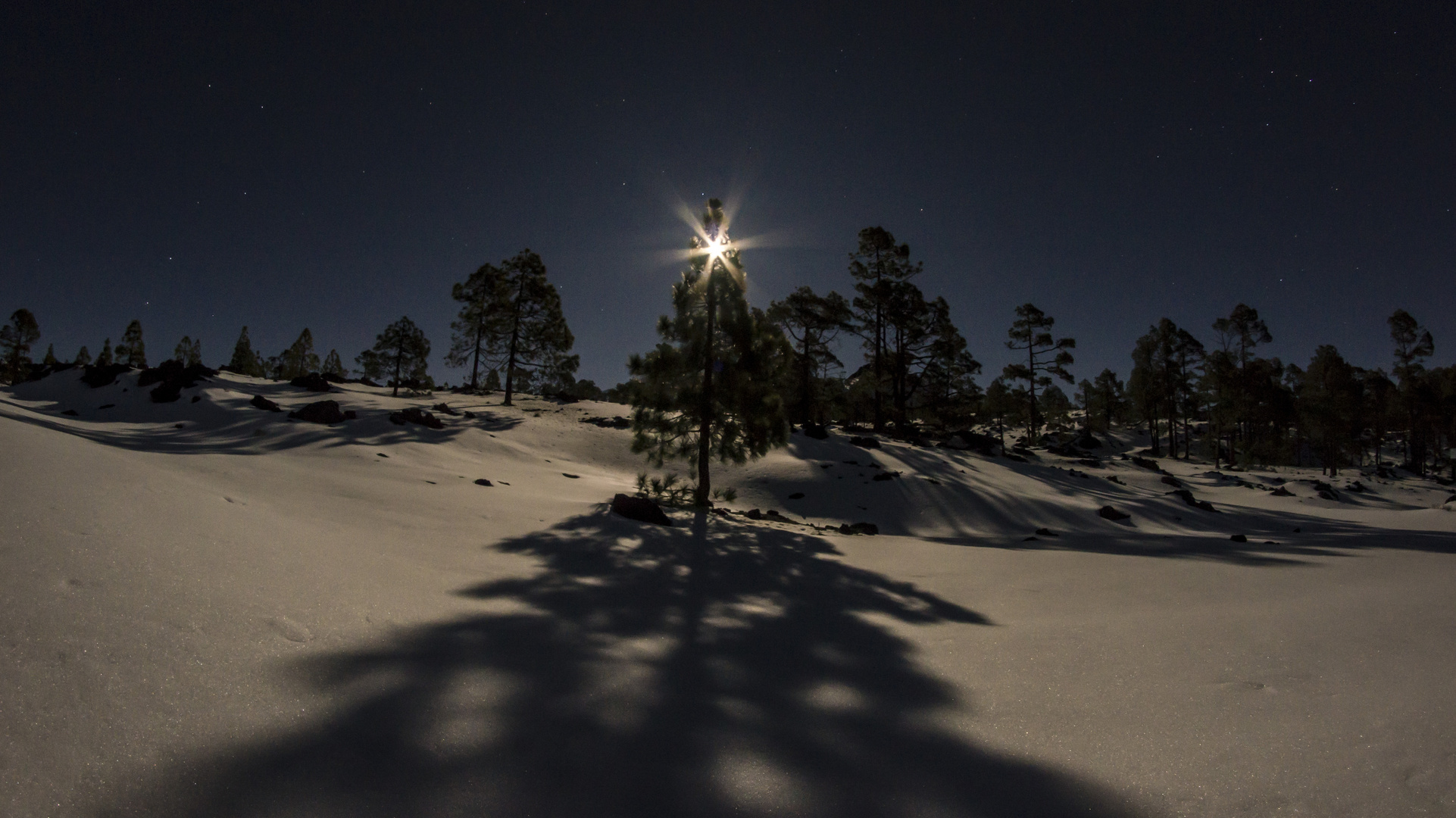 Vollmond Nacht