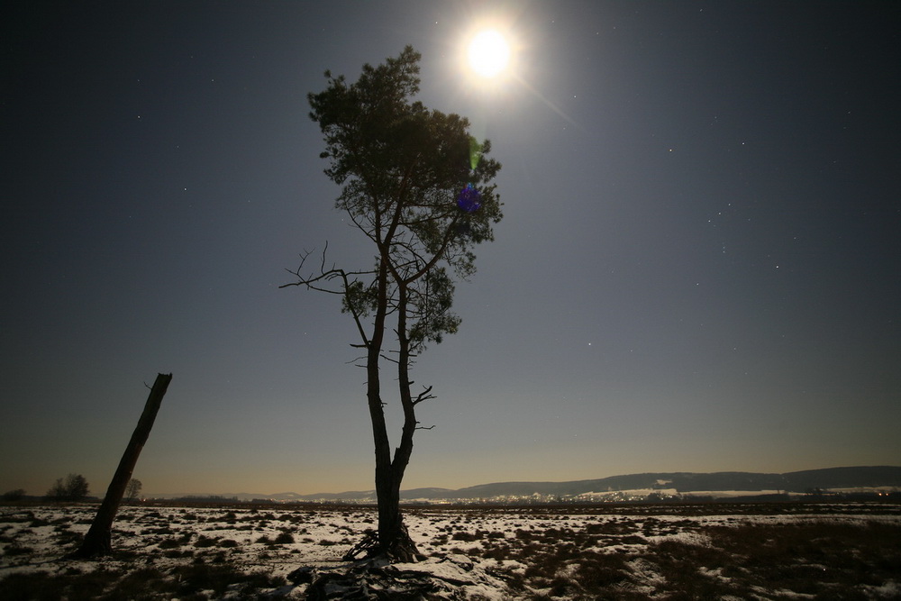 vollmond nachts im hiller moor