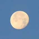 Vollmond Sonntagfrüh um 6.27 Uhr