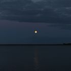 Vollmond über dem Bodden