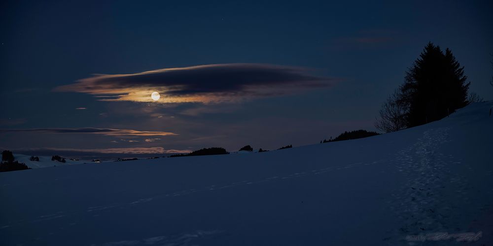 Vollmond über dem Bruderwald