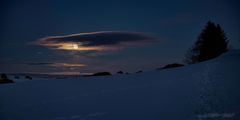 Vollmond über dem Bruderwald