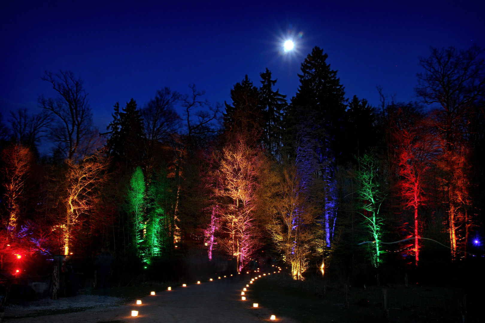 Vollmond über dem bunt illuminierten Wildwald