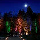 Vollmond über dem bunt illuminierten Wildwald