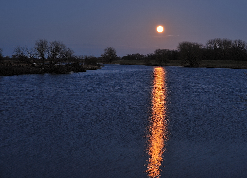 Vollmond über dem Deich