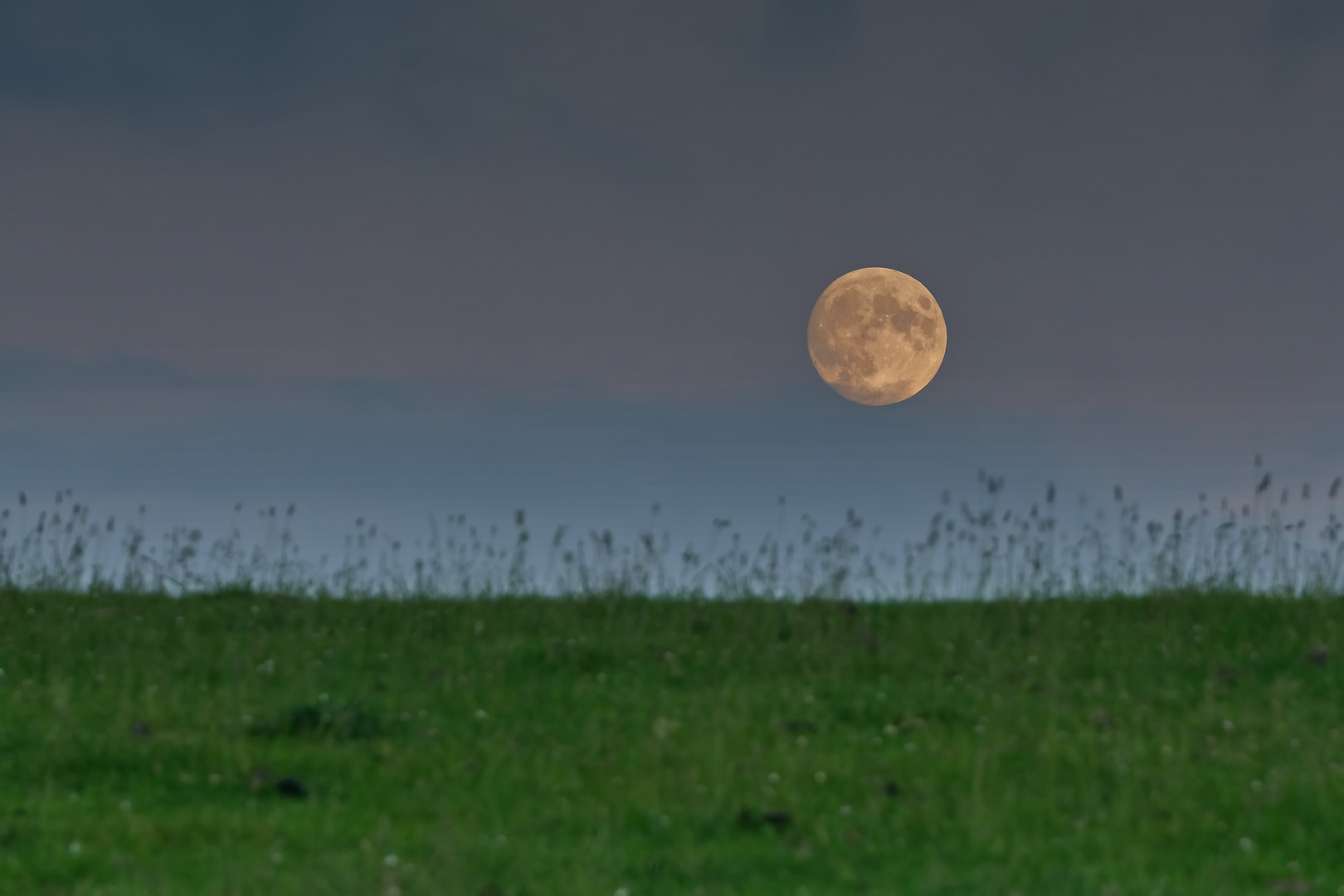 Vollmond über dem Deich