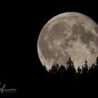 Vollmond über dem Klostertal 2