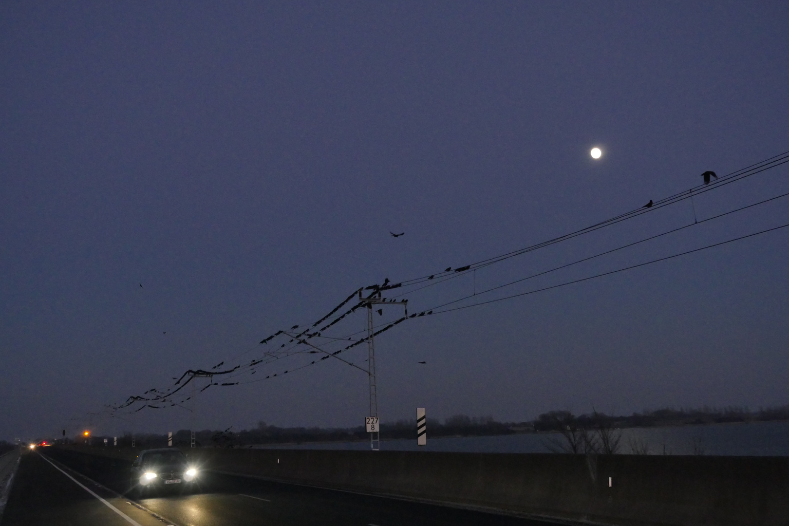 Vollmond über dem Rügendamm