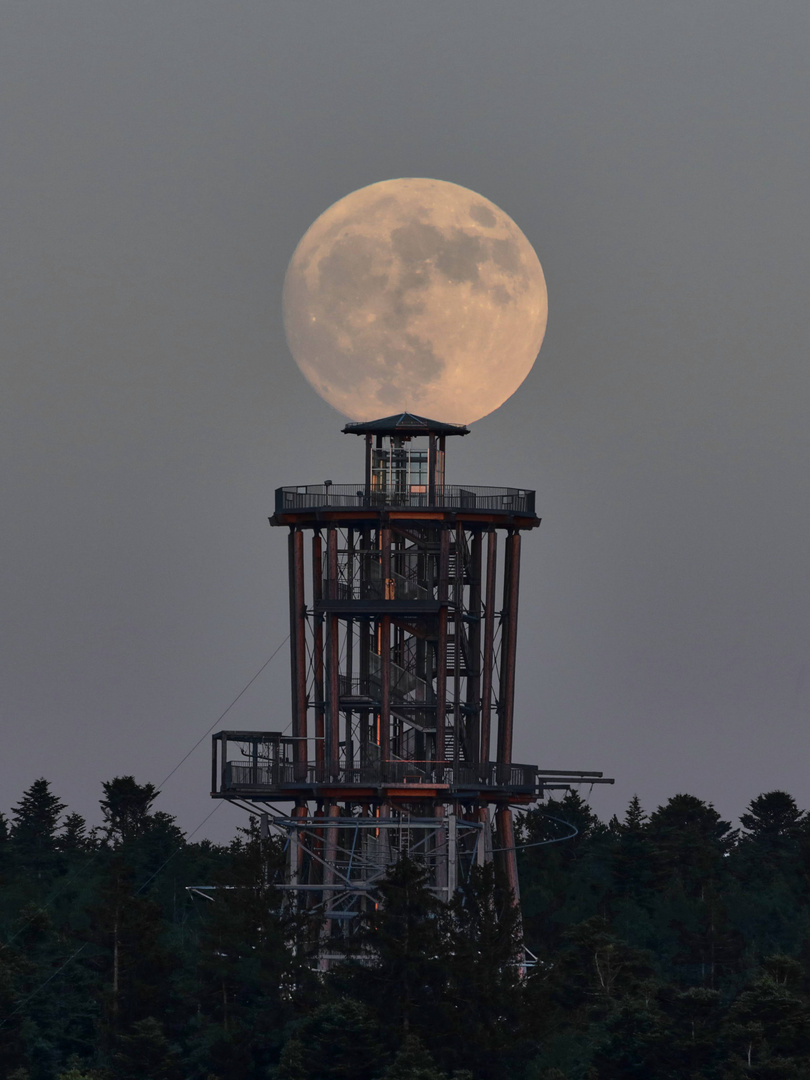 Vollmond über dem Schömberger Aussichtsturm " Himmelsglück "