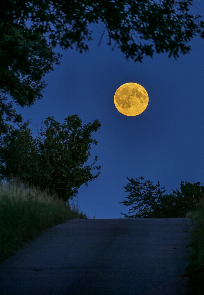 Vollmond über dem Weg