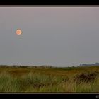 Vollmond über den Dünen