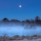 Vollmond über der Insel