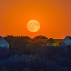 Vollmond über der Konradsburg (2)