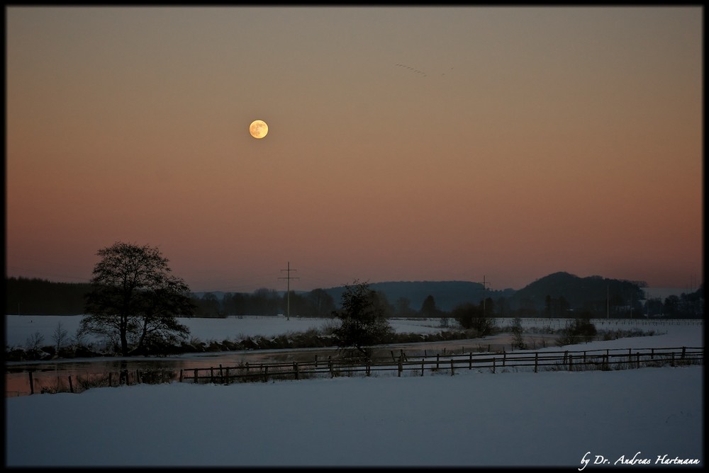 Vollmond über der Ruhr (Zugvögel)