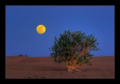 Vollmond über der Sahara