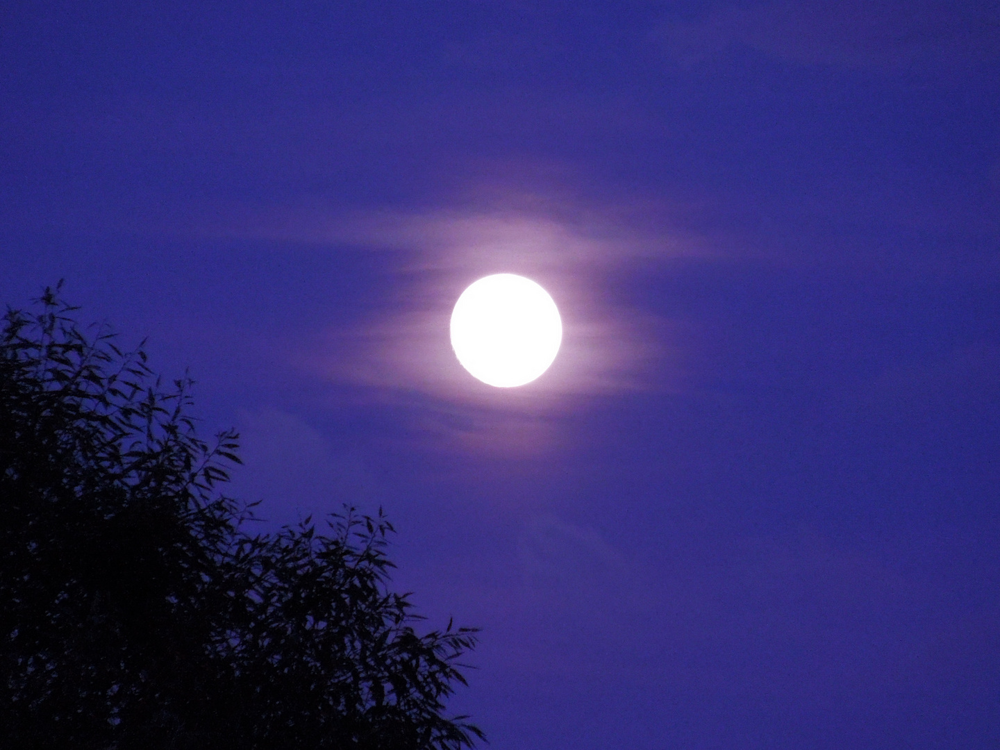 Vollmond über Dresden