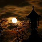 Vollmond über Dresden