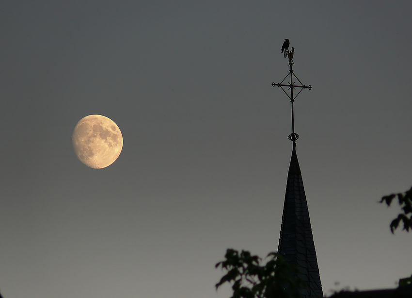 Vollmond über Düsseldorf-Kaiserswerth