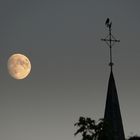 Vollmond über Düsseldorf-Kaiserswerth