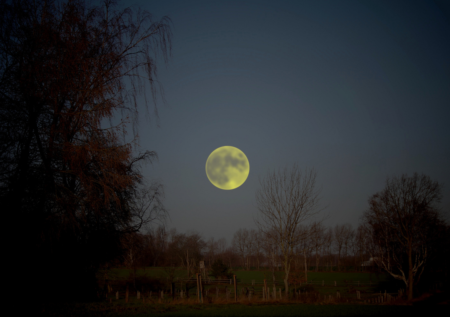 Vollmond über Egestorf