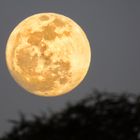 Vollmond über Fez