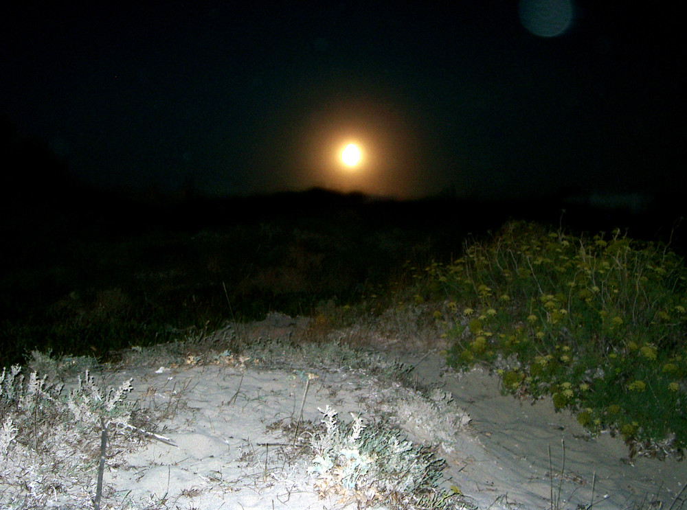 Vollmond über Formentera