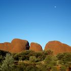 Vollmond über Kata Tjuta