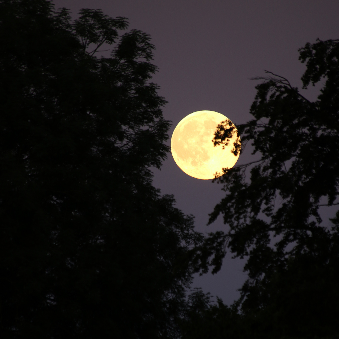 Vollmond über Nymphenburg-2