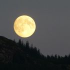 Vollmond über Plockton