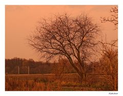 Vollmond über Rangsdorf