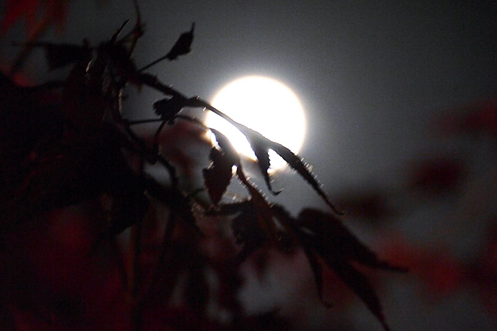 Vollmond über Ratingen