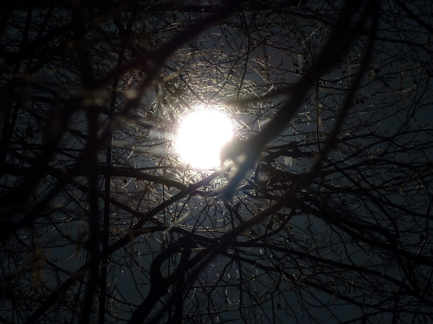 Vollmond über Reken