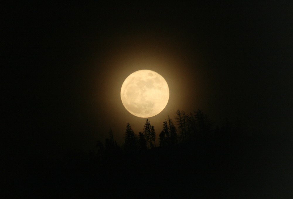 Vollmond über Rorschacherberg