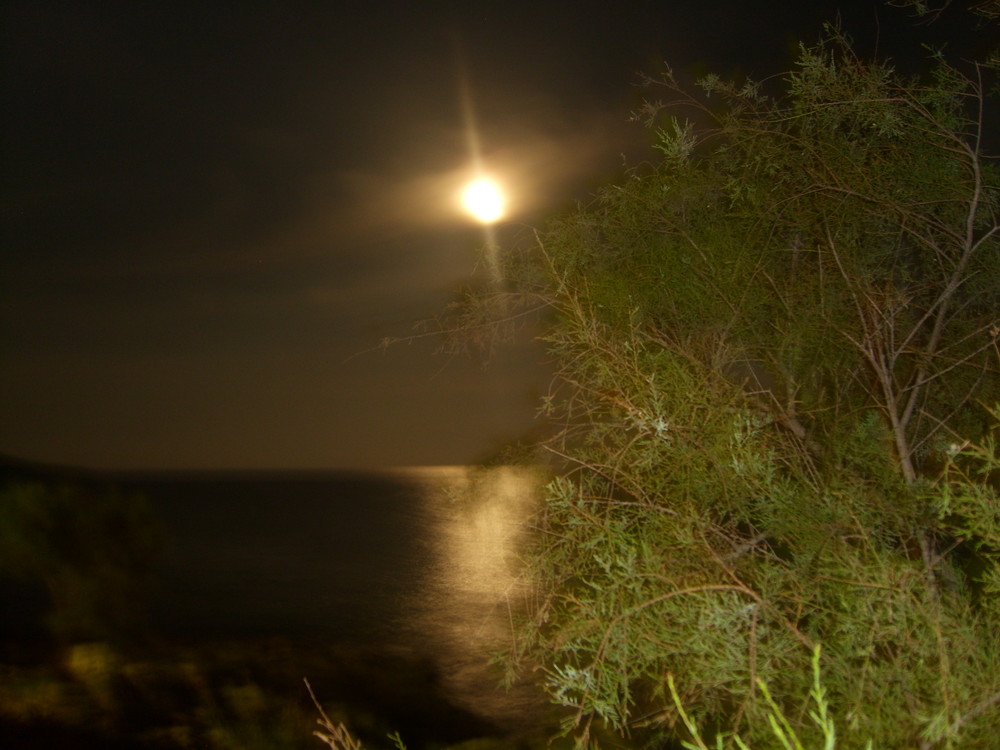 Vollmond über Sa Coma 4