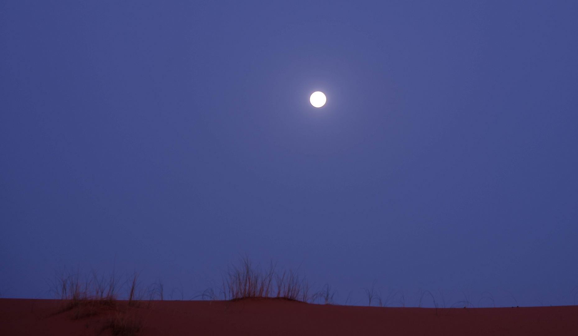 Vollmond über Sahara