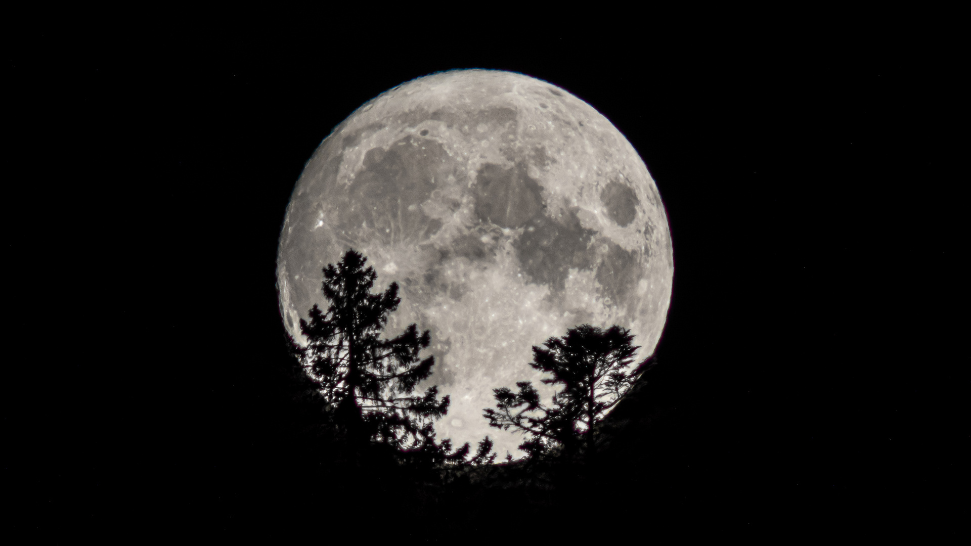 Vollmond überm Berg