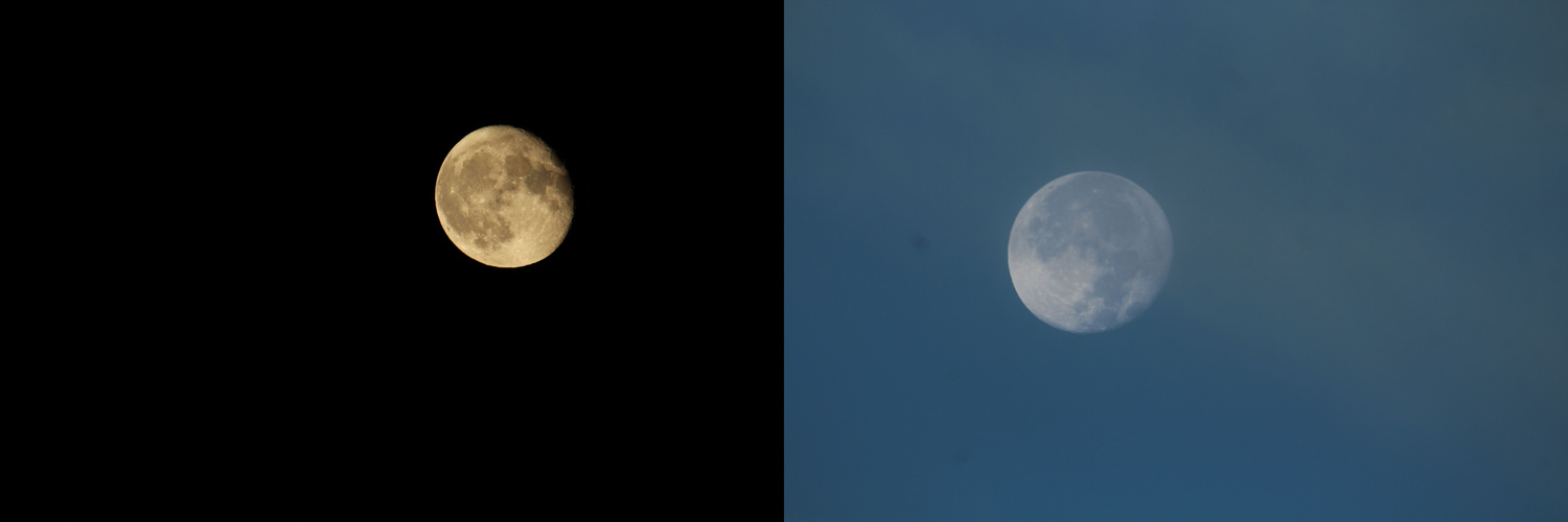 Vollmond überm Bodensee