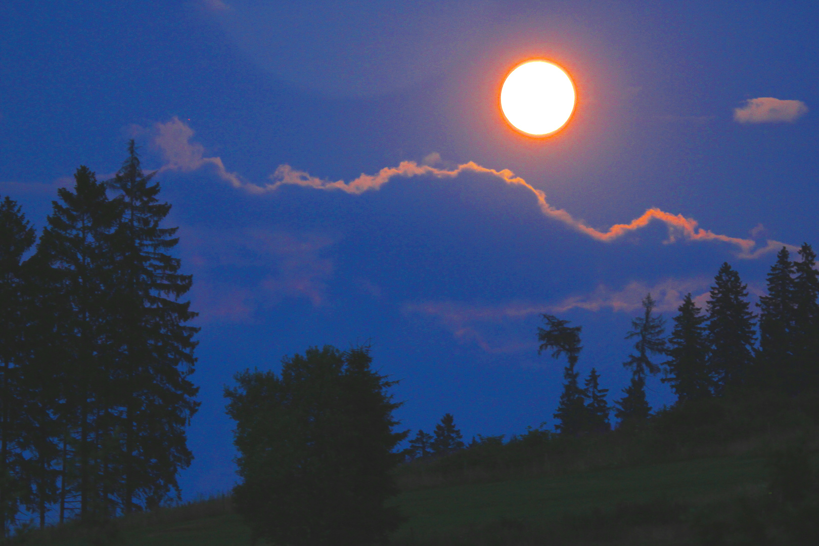 Vollmond überm Fichtenwald