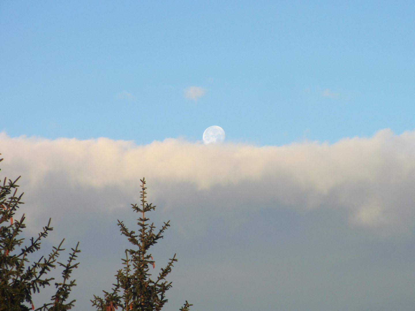 Vollmond überm Nebelmeer