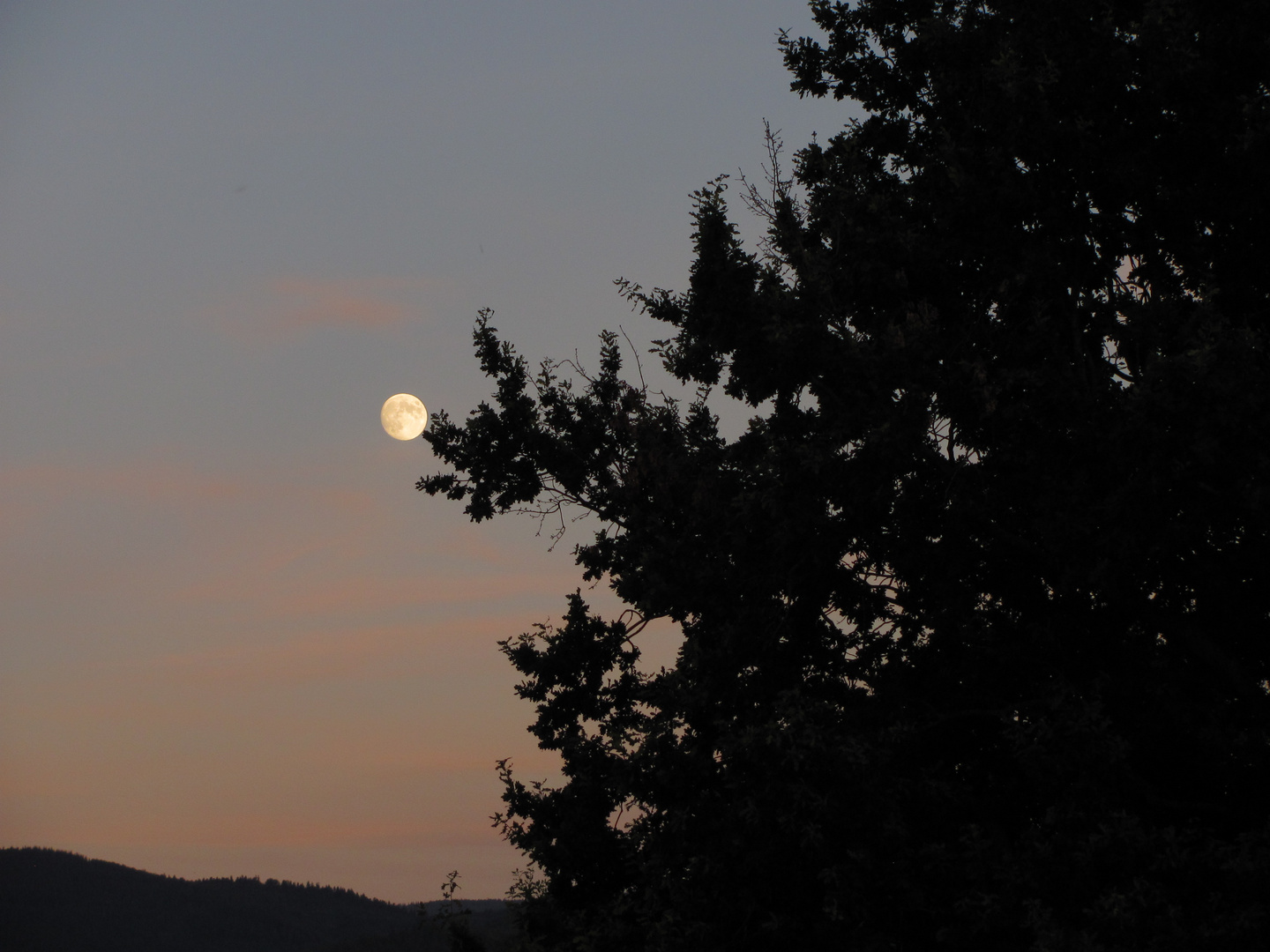 Vollmond überm Schwarzwald