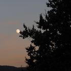 Vollmond überm Schwarzwald