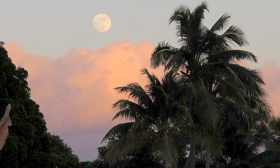 Vollmond und Gewölk