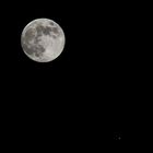 Vollmond und Jupiter (10.04.2017 23:00)