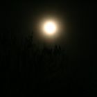 Vollmond und mehr