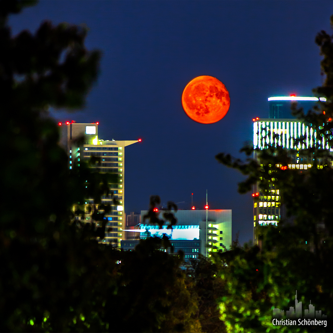 Vollmond und Skyline strahlen um die Wette - Frankfurt am Main