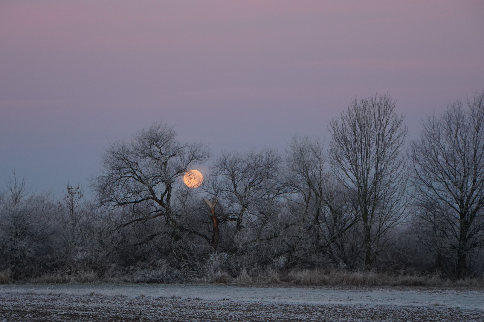 Vollmond verschwindet