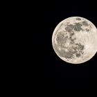 VOLLMOND vom 05.04.2023